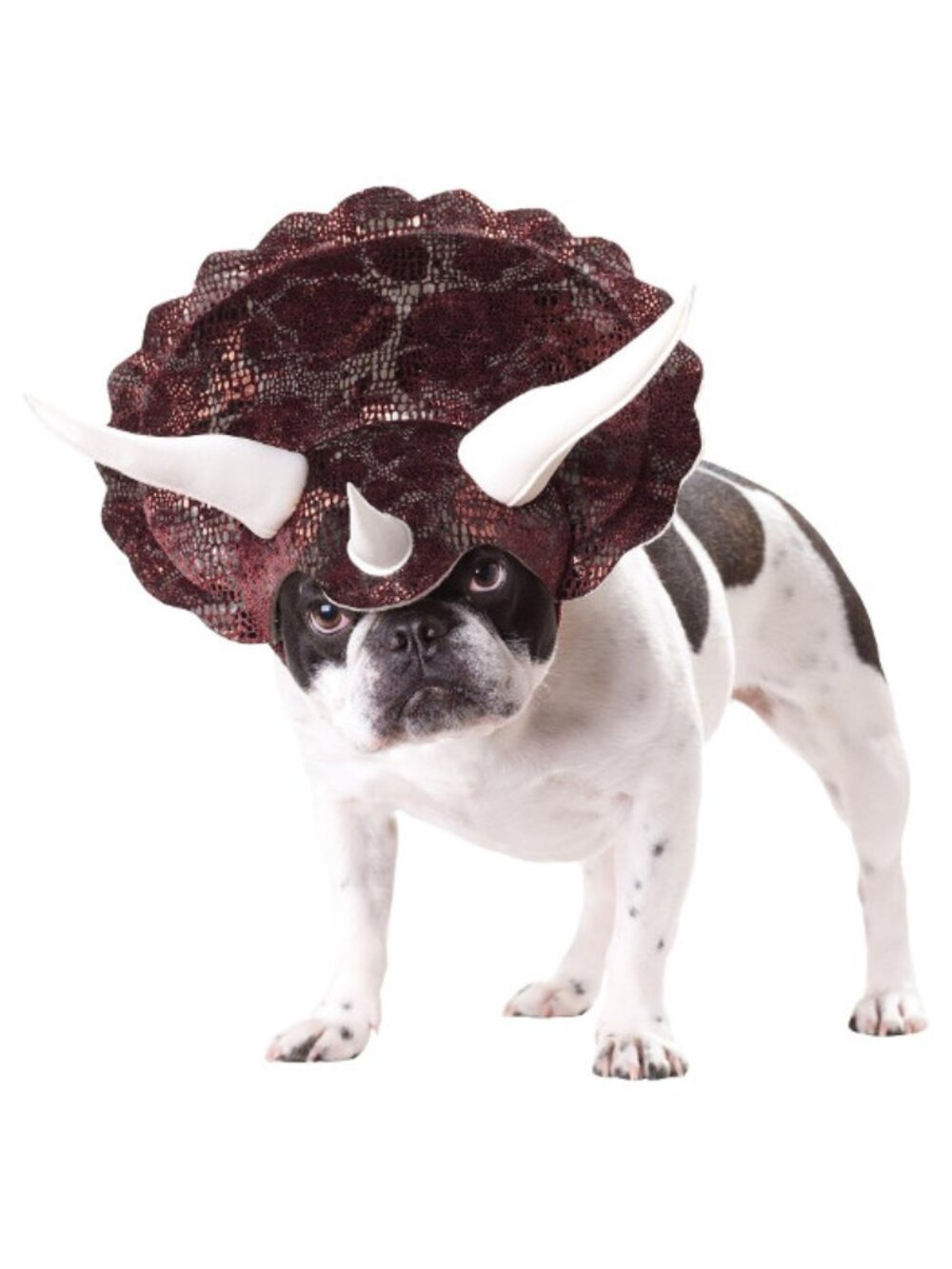 Triceratops Animal Planet Halloween Pet Costume